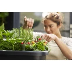 Elho Noa Kweektafel Zwart -Tuinartikelen Winkel elho noa kweektafel zwart 1000x1000 64aebaca7b56b l