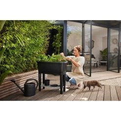 Elho Noa Kweektafel Zwart -Tuinartikelen Winkel elho noa kweektafel zwart 1000x1000 64aebacac31cf l