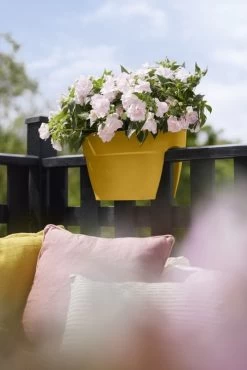 Elho Plantenbak Vibia Campana Flower Bridge 40cm Geel -Tuinartikelen Winkel elho plantenbak vibia campana flower bridge 40cm geel 534x800 620e3d1223b34 l