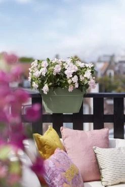 Elho Plantenbak Vibia Campana Flower Bridge 40cm Groen -Tuinartikelen Winkel elho plantenbak vibia campana flower bridge 40cm groen 534x800 620e3d1fe9139 l