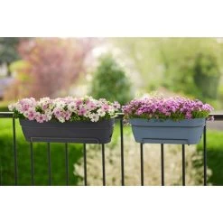 Elho Vibia Campana Balkonbak 50 Cm Zwart -Tuinartikelen Winkel elho vibia campana balkonbak 50 cm zwart 1000x1000 64aebb291d115 l