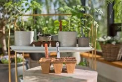 GARDENA FreshCut Set -Tuinartikelen Winkel gardena freshcut set 1500x1000 640af81aaa70a l