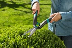 GARDENA PrecisionCut Buxusschaar -Tuinartikelen Winkel gardena precisioncut buxusschaar 1500x1000 640af7c8df197 l