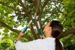 GARDENA Takkenschaar EasyCut 500 B -Tuinartikelen Winkel gardena takkenschaar easycut 500 b 1500x1000 640af7e5d4f80 l