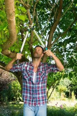 GARDENA Takkenzaag EasyCut 680 B (12003 + 8754 E12) 9 GARDENA Takkenzaag EasyCut 680 B (12003 + 8754 E12) -Tuinartikelen Winkel gardena takkenschaar easycut 680 b 8754 1000x1500 640af7ec497bd l