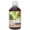 Pokon Bio Plantkuur Bladinsectgevoelige Planten Concentraat 500ml 1 Pokon Bio Plantkuur Bladinsectgevoelige Planten Concentraat 500ml -Tuinartikelen Winkel pokon bio plantkuur bladinsecten 500ml 1614005885 l